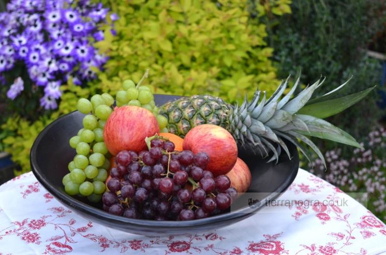 Large Serving Dish Tierra Negra